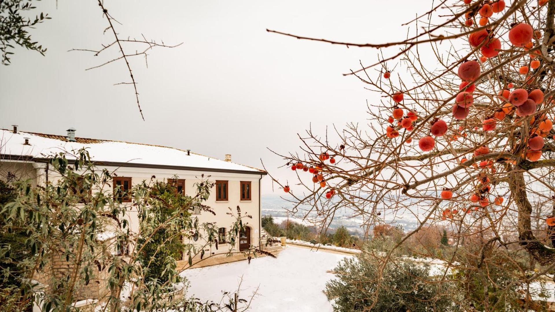 Il Mulino Della Signora Luxury Country House Frigento Exteriör bild